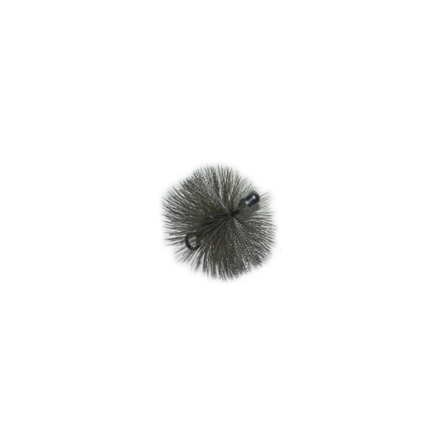 2026_06_06_277646