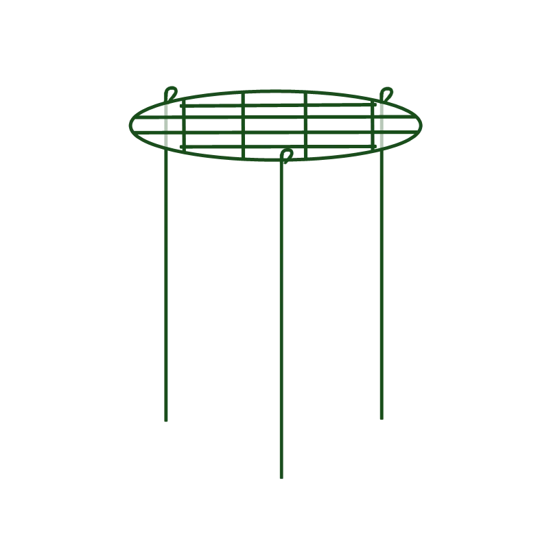 mft0kdelmfm20260606051529279612