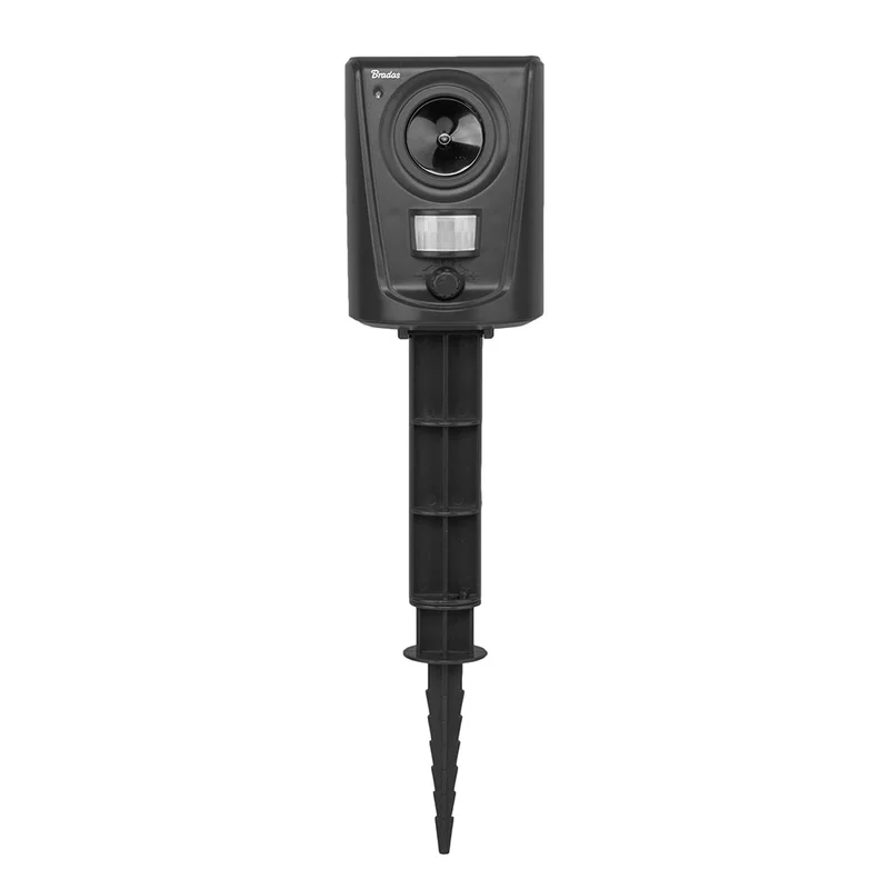 phbsa3134no20260606045642277555